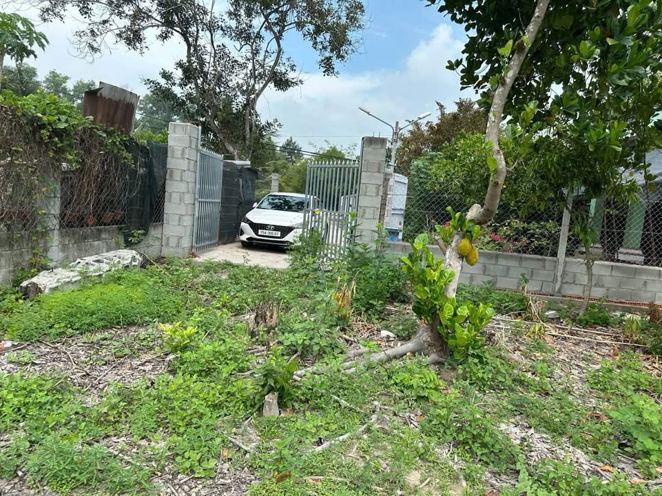 Đất Nhuận Đức Củ Chi 712m² - Giá 2.3 Tỷ, Sẵn Sàng Kinh Doanh