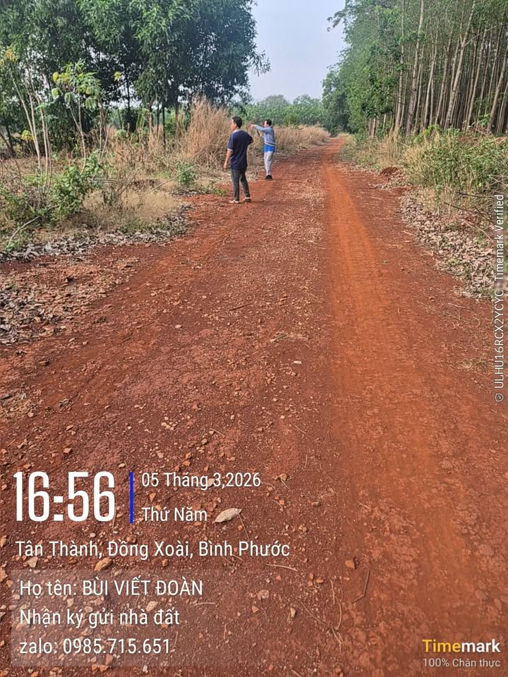 Bán đất nền Tân Thành, Đồng Xoài - 1000m² giá 250 triệu, sổ đỏ riêng