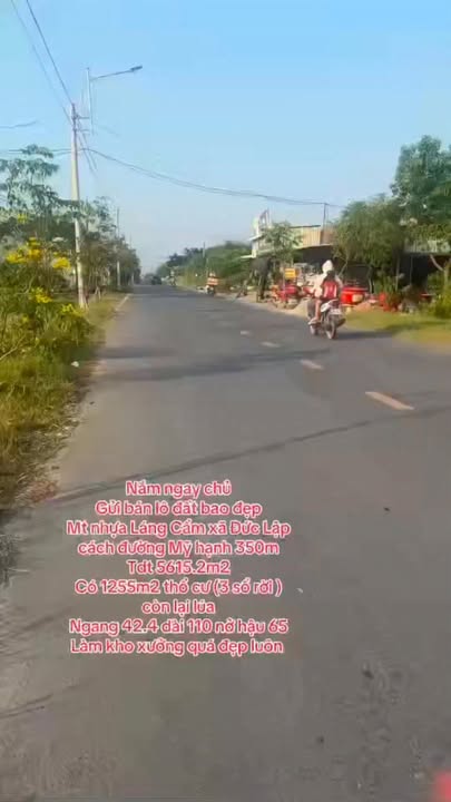 Đất nền Đức Hòa Long An 5615m² 23 tỷ - Tiềm năng tăng giá vượt trội!