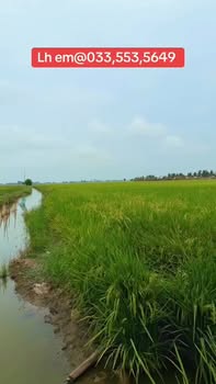 Đất Vườn Long An 20.000m² - Giá 19 Tỷ - Sẵn Sàng Đầu Tư Lớn