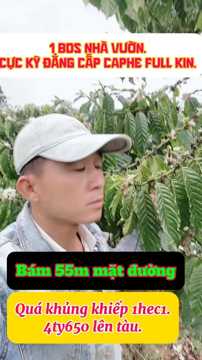 Đất Vườn Di Linh 1ha, 4.65 tỷ - Sổ hồng chính chủ, tiềm năng lớn