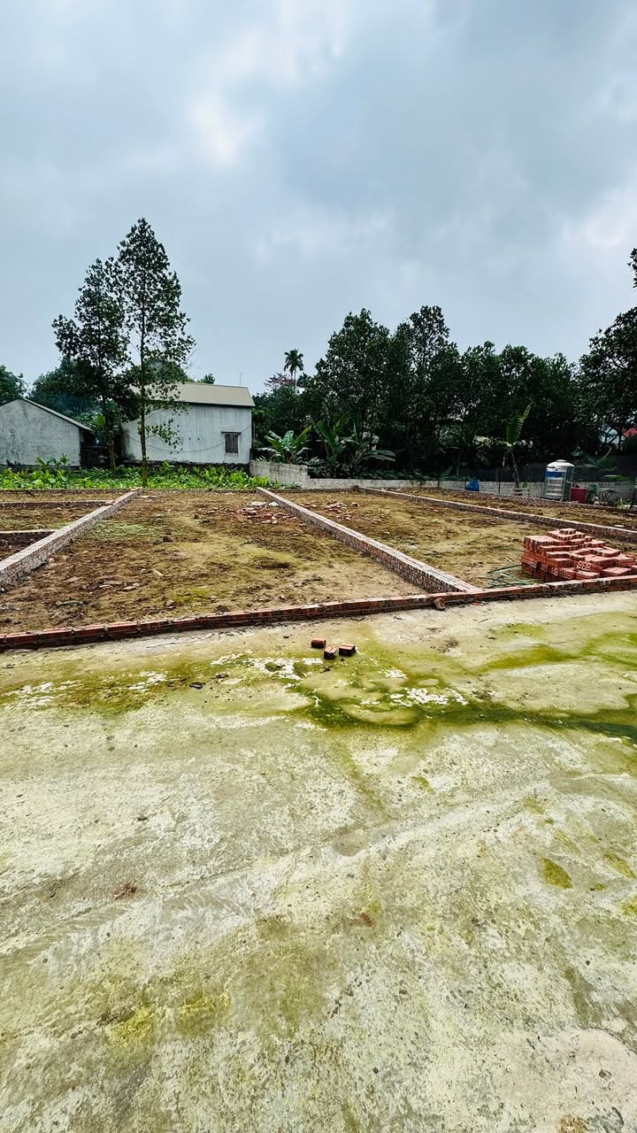 Đất nền Sen Phương, Phúc Thọ 80m² - Sổ đỏ chính chủ