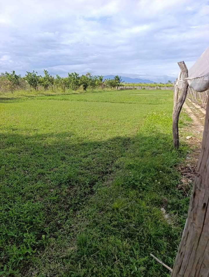 Đất Vườn Long Bình 1203m² - Đầu tư sinh lời ngay tại Ninh Thuận