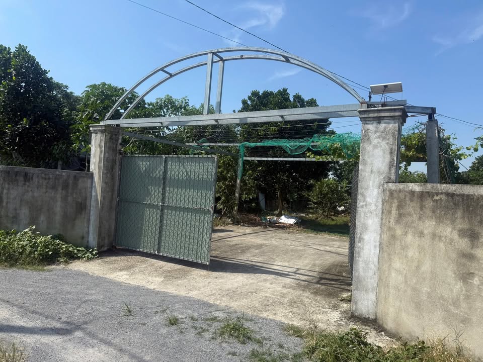 Nhà Vườn Tân Thạnh Đông, Củ Chi 542m² giá 3.4 tỷ - Nghỉ dưỡng lý tưởng!