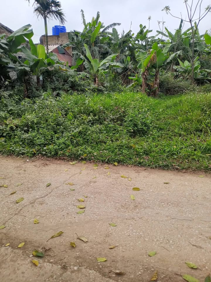 Đất nền Quảng Thành 400m² giá 9xx triệu - Sổ đỏ chính chủ