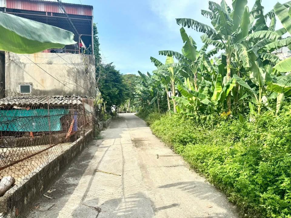 Bán Đất Minh Trại, Quảng Thành 60m² - Ngõ Ô Tô, Giá 950 Triệu