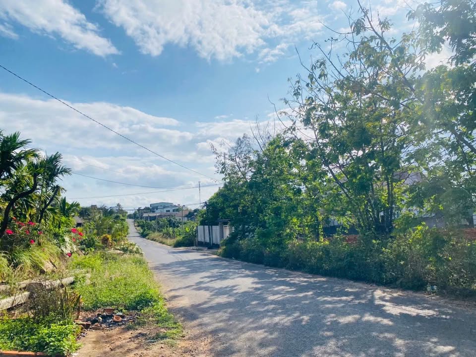 Đất Vàng Buôn Ma Thuột 3000m² Mặt Tiền Giải Phóng - Kinh Doanh Đa Ngành