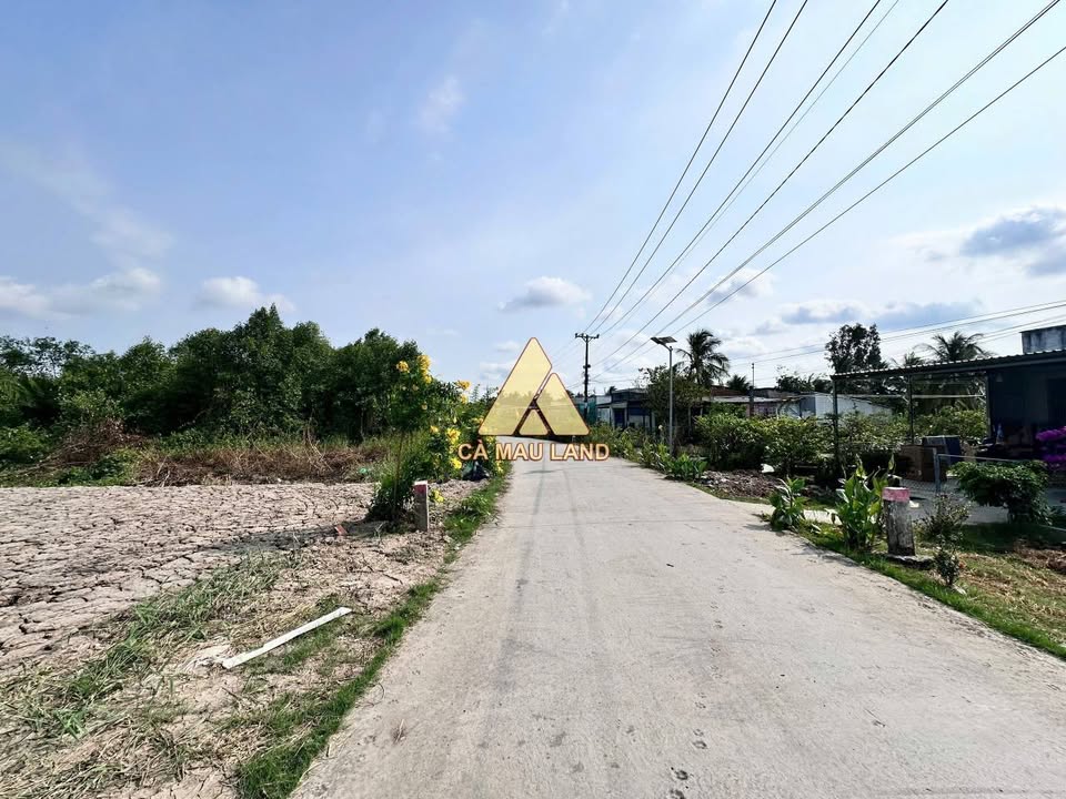 Đất Thổ Cư Mặt Tiền Lộ Ô Tô Lý Văn Lâm, Cà Mau - 207m² Giá 590 Triệu
