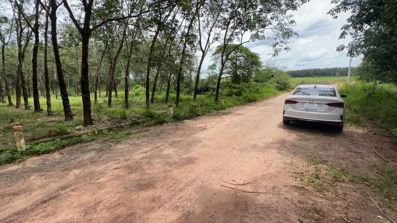 Đất SKC 10.774m² B.Tân Uyên, Bình Dương - Sẵn Sàng Giao Dịch