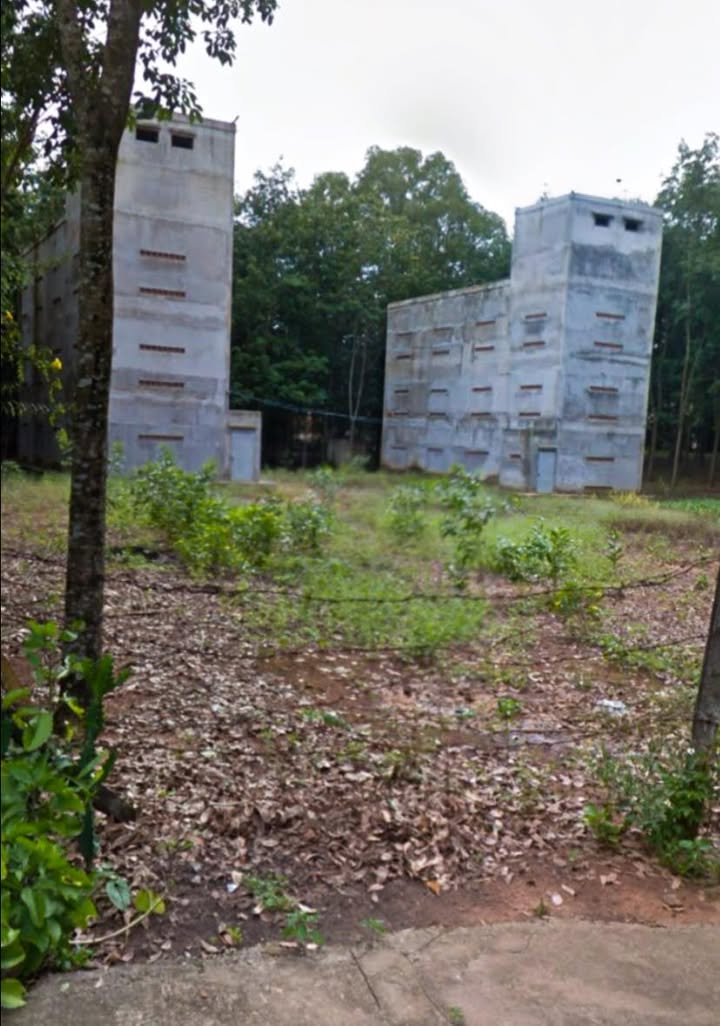 Bình Dương: Đất Vàng 3500m² Tân Định, Bến Cát - Tặng Kèm 2 Nhà Yến Hấp Dẫn