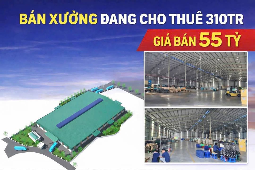 Bán Xưởng 7200m² MT ĐH409, Bình Dương - Dòng Tiền 310tr/tháng