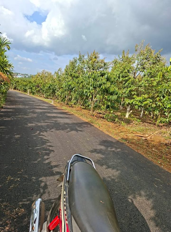 Đất Farm 500m² Xã Lộc Tiến, Bảo Lâm - View Thoáng, Giá Đầu Tư 1.2 Tỷ