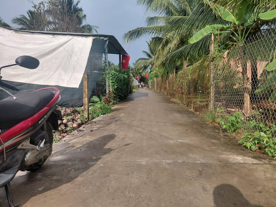 Đất nền Đồng Tháp 192m² giá 650 triệu - Sổ đỏ chính chủ!