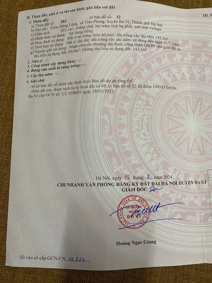 Đất Nền Bằng Lũng - Quảng Oai, Gia Lâm: 203m² Sổ Đỏ Sẵn Sàng, Đường 8-9m