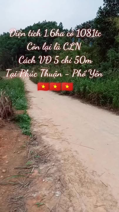 Bán Gấp Đất Vàng 1.6ha Phúc Thuận, Phổ Yên - Sổ Đỏ, Sẵn Sàng Đầu Tư