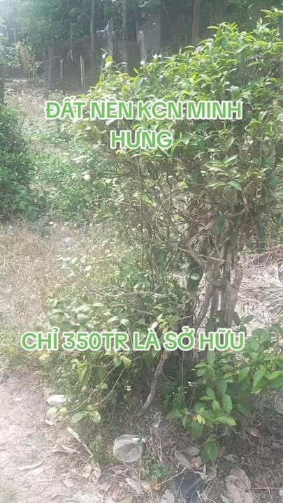 Đất nền Minh Hưng, Chơn Thành 400m² - Sổ hồng riêng, sát KCN Hàn Quốc