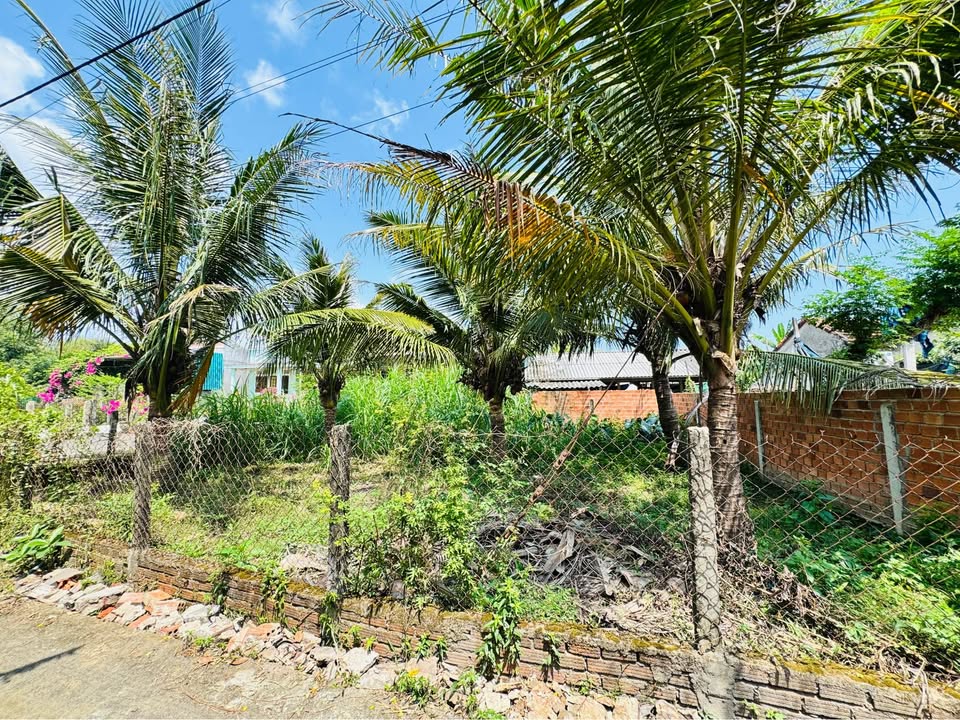 Đất Tịnh Khê, Quảng Ngãi - 139m² Hướng Nam, Giá 650 Triệu - Sổ Đỏ Sẵn Sàng