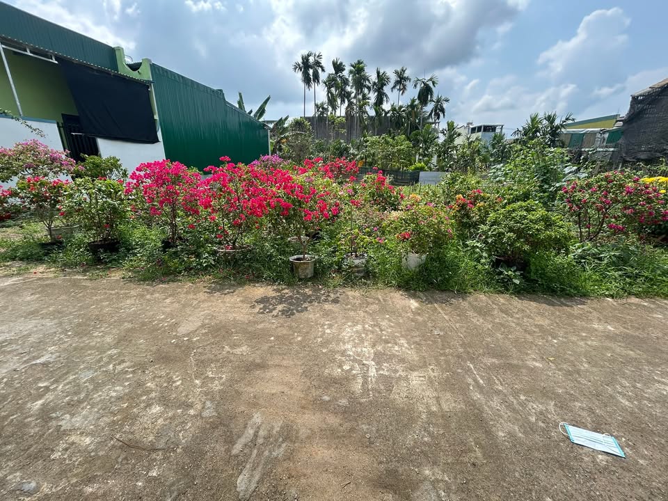 Đất nền Quảng Phú, Quảng Ngãi 70m², 700 triệu - Đường to ô tô