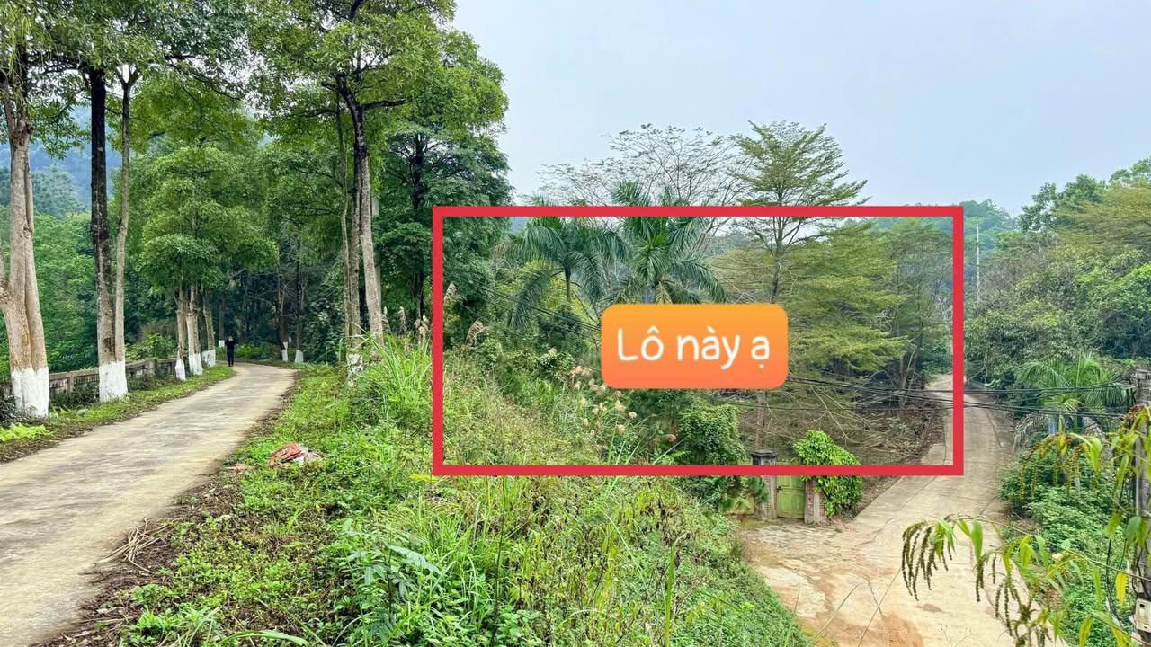 Đất Nền Gò Mè, Thạch Thất 1989m² - Sổ Đỏ Tách Sẵn, Gần CNC Hòa Lạc