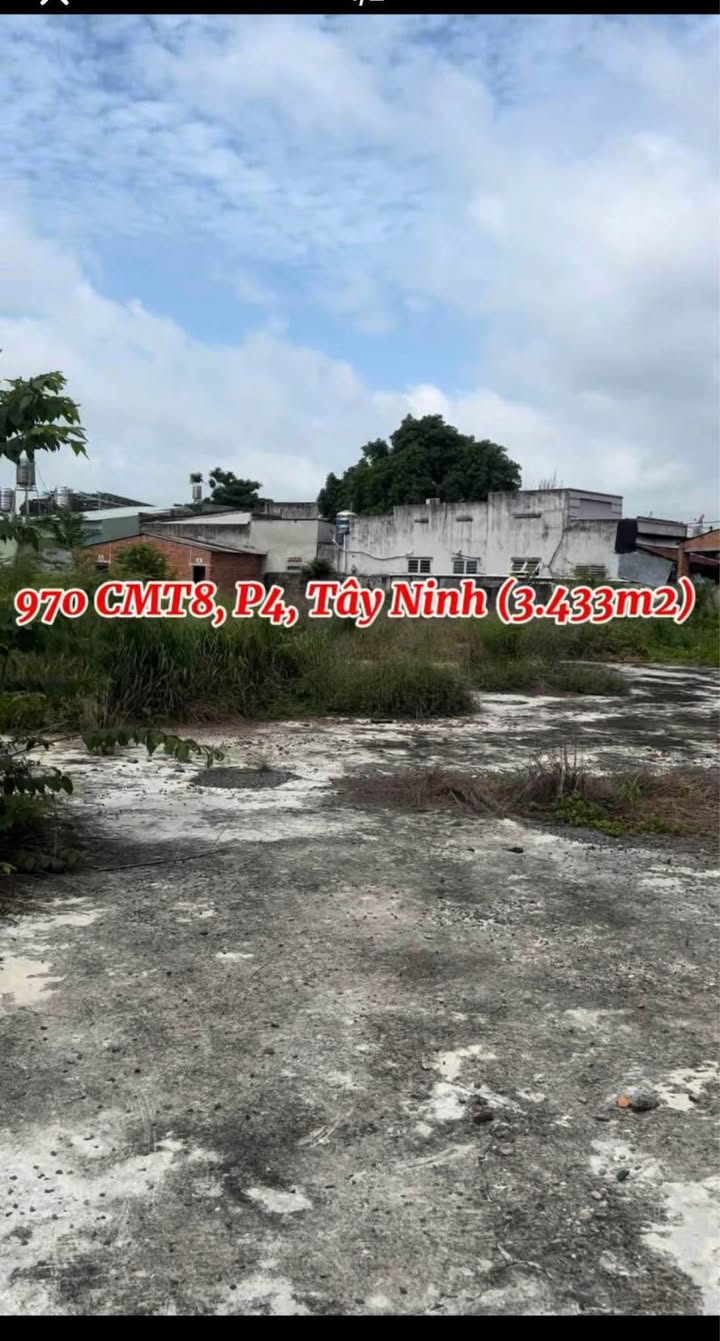 Đất trống cho thuê 3.433m² Tây Ninh - Mặt tiền kinh doanh đắc địa!