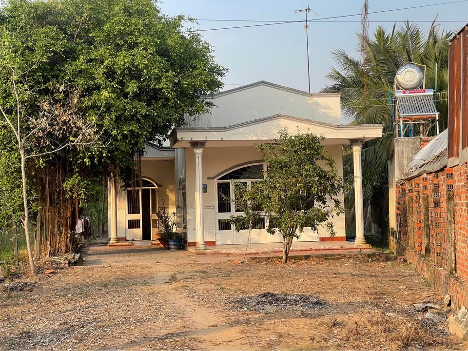 Đất nền QL22B Tây Ninh 440m² - Mặt tiền kinh doanh đắc địa!