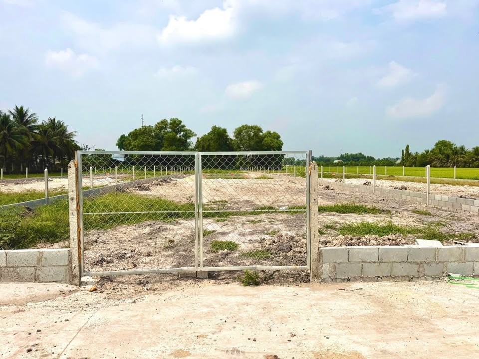 Đất vườn Gò Dầu, Tây Ninh 1000m² chỉ 1.25 tỷ - Nghỉ dưỡng lý tưởng!