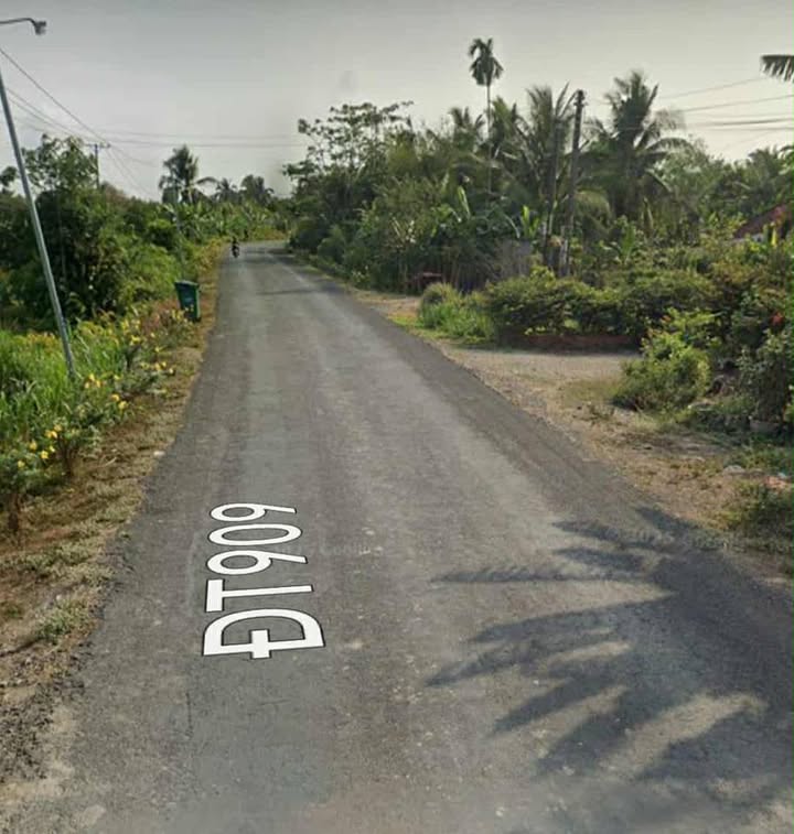 Đất nền Tỉnh lộ 909 Vĩnh Long 10527m² – Tiềm năng tăng giá vượt trội!