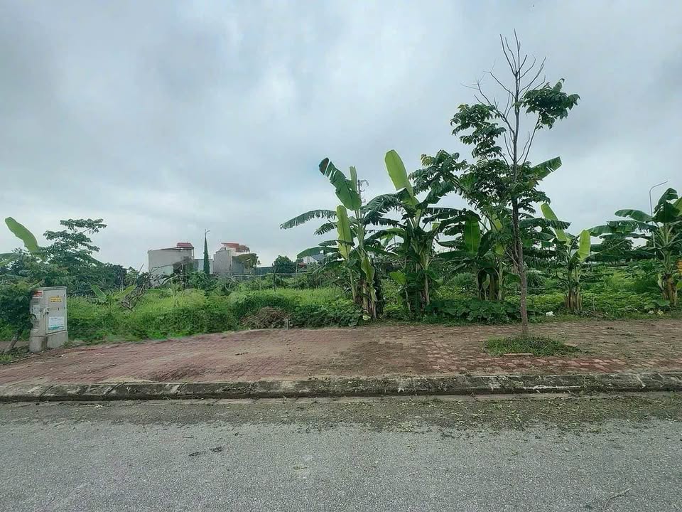 Đất đấu giá Kim Chân - Bắc Ninh: 100m², Mặt tiền 14m, Giá đầu tư chỉ 4.x tỷ