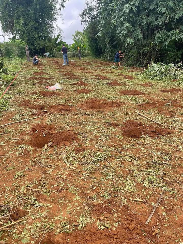 Đất nền Chiềng Mung 800m² - Sổ đỏ chính chủ, đường ô tô tránh!