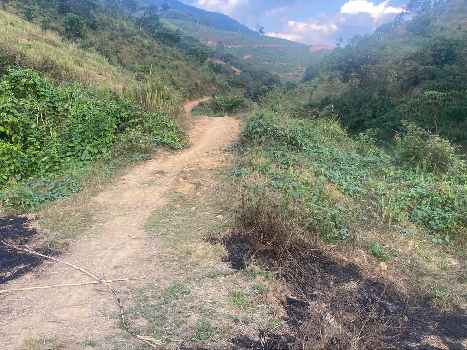 Bán Gấp Đất Vườn Đam Rông 2160m² - Giá Tốt 350 Triệu