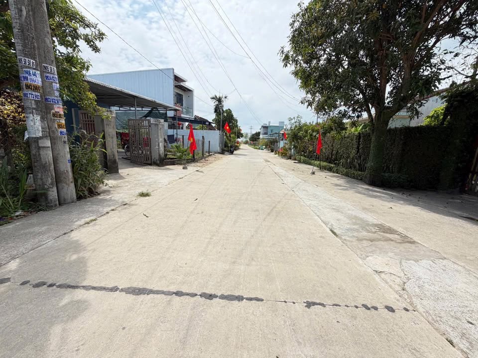 Đất nền Trần Thủ Độ, Hải Châu 312m² - Tiềm năng tăng giá vượt trội!