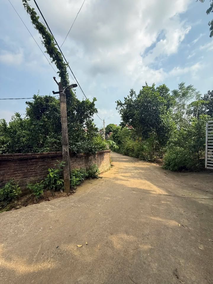 Đất nền Thanh Sơn 126m² - Sổ đỏ chính chủ, tiềm năng sinh lời!