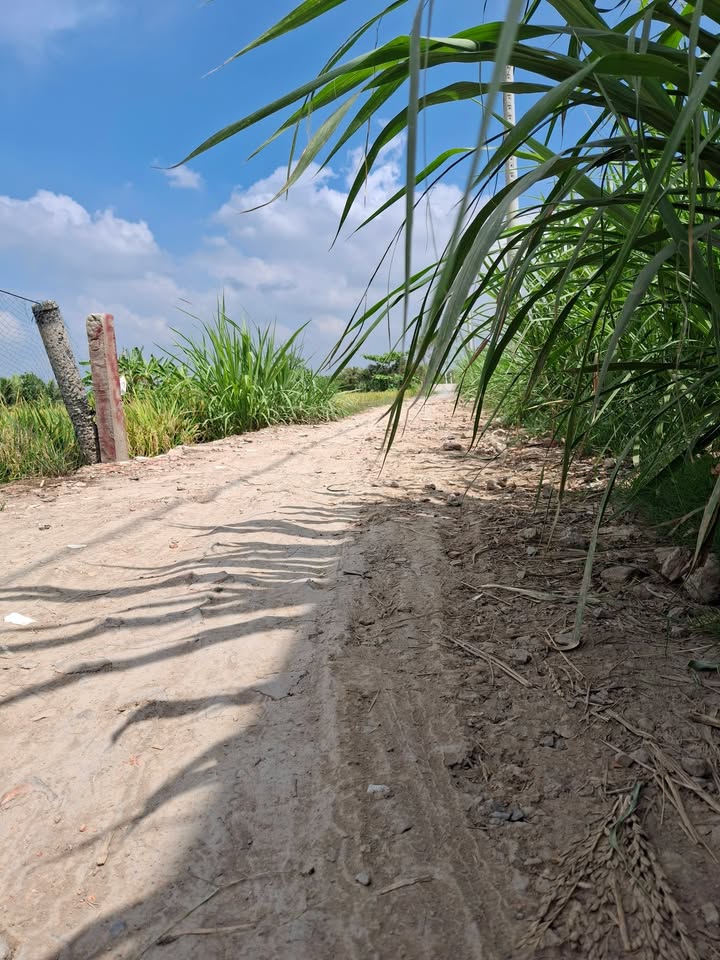 Đất Nền Vĩnh Bình, Tiền Giang - 168m² Hướng Đông, Giá 380 Triệu