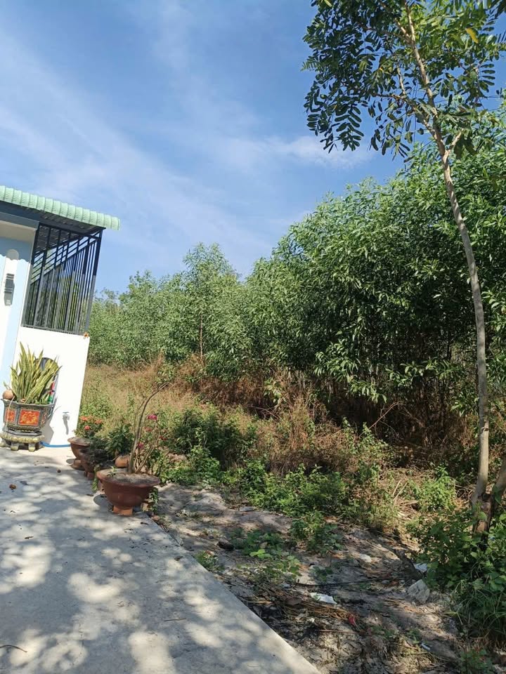 Đất nền Minh Hưng Chơn Thành 450m² - Hơn 800 triệu, đầu tư sinh lời