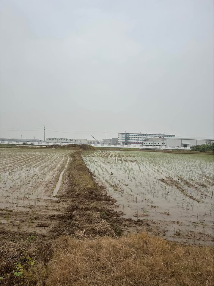 Nhà riêng An Bình, Thuận Thành 63m² - Chính chủ bán, giá tốt hiếm có!