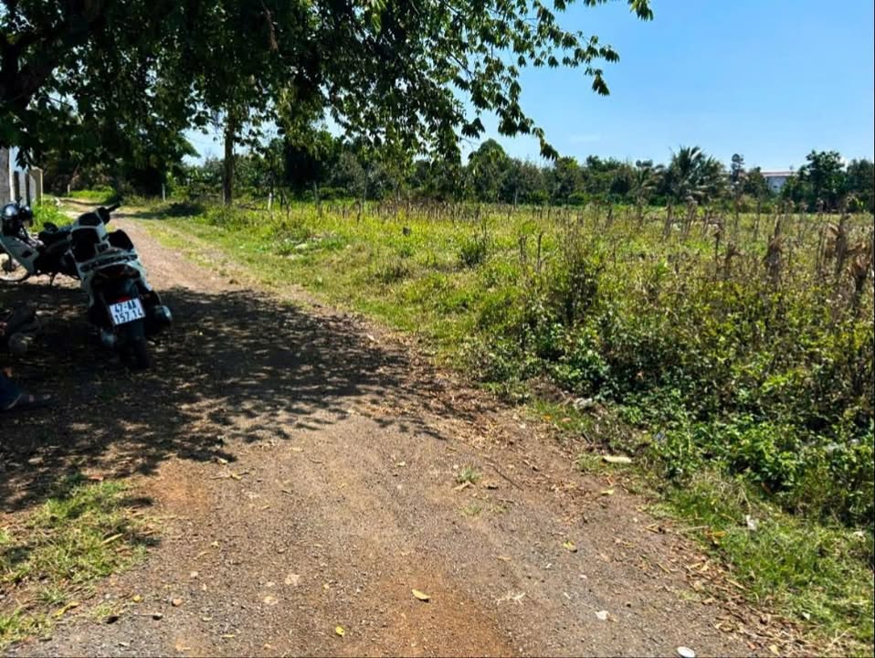 Đất nền Thôn 1 Hòa An Krông Pắc 300m² - Tiềm năng tăng giá vượt trội!