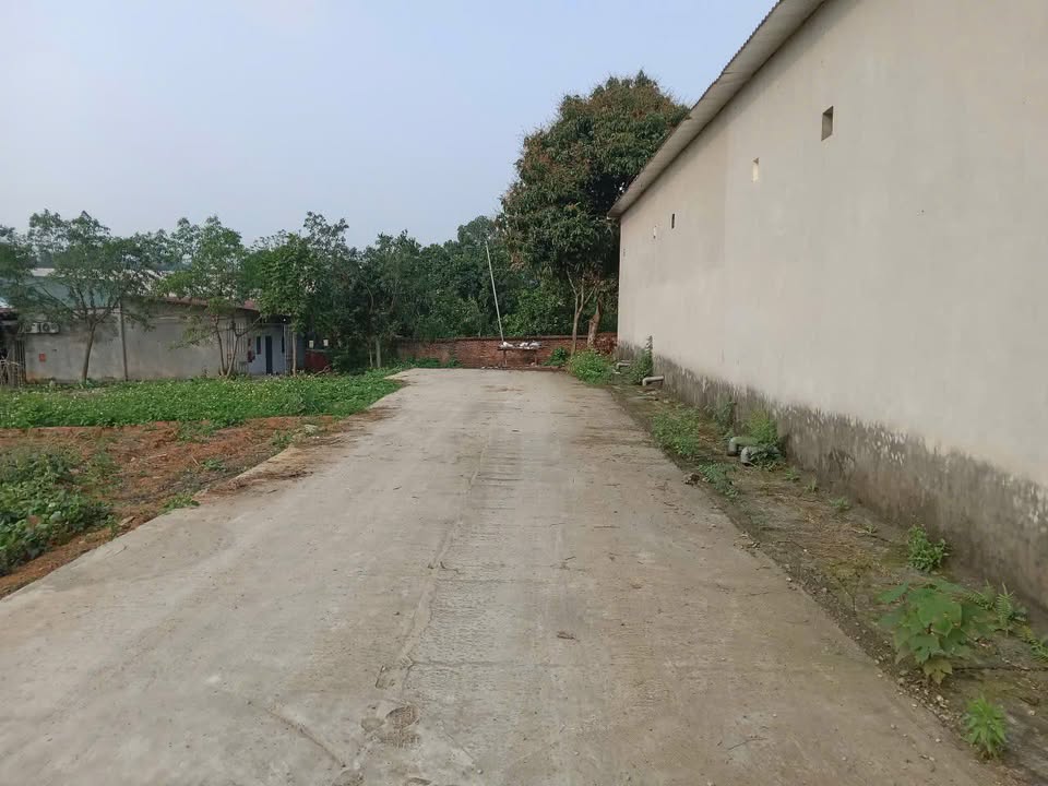 Đất Lô Góc 2 Mặt Tiền 98m² - Vị Trí Đắc Địa Tại TĐC Đồng Chão, Việt Trì