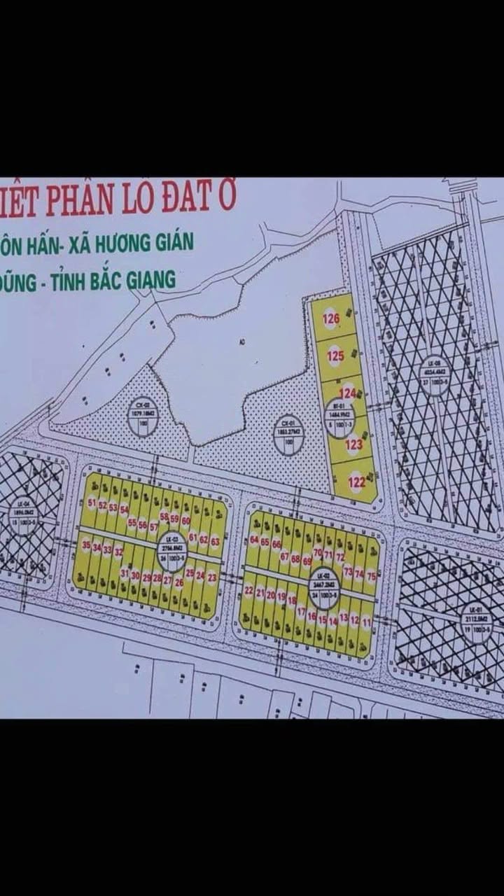Đất đấu giá Bắc Ninh 100m² - Lô góc view hồ, giá 3 tỷ