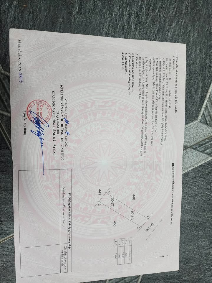 Đất nền Hợp Thịnh, Tam Dương 125m² - Đường to ô tô, Sổ đỏ sẵn sàng!