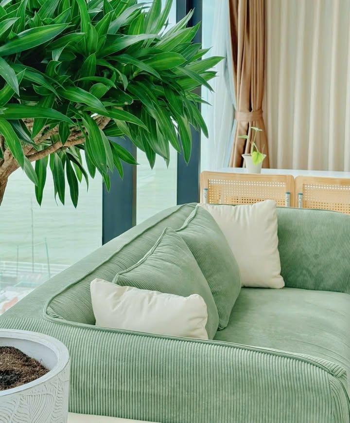 Căn hộ Maple Nha Trang 61.2m² - Full nội thất cao cấp, sẵn sàng vào ở!