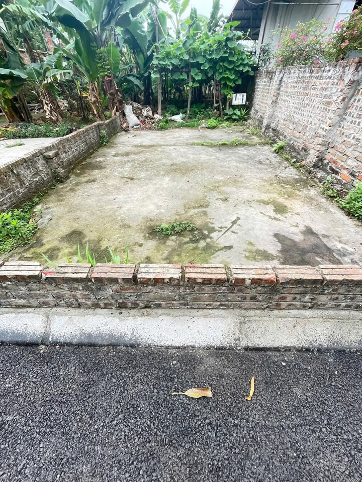 Đất nền Kim Sơn, Gia Lâm 50m² giá 3 tỷ - Sổ đỏ sẵn, lô góc đẹp