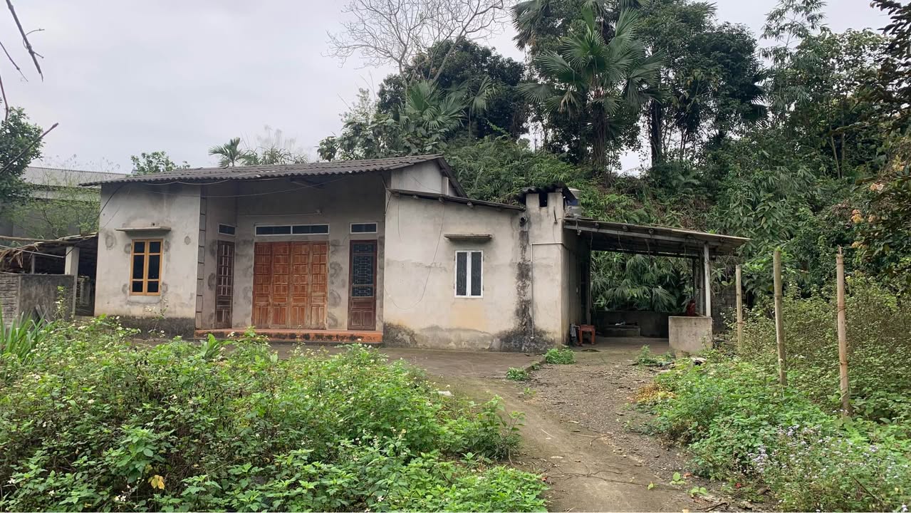 Nhà vườn Tân Thịnh Văn Chấn 1000m² - Sinh thái xanh, nghỉ dưỡng lý tưởng!