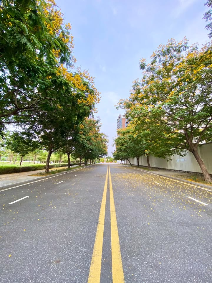 Đất nền Hẻm 287 Nguyễn Thông Cần Thơ 100m² - Sổ hồng chính chủ