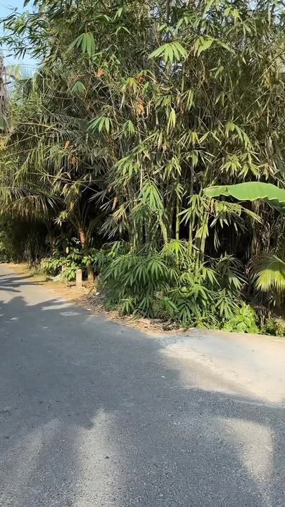 Bán gấp Đất Thổ Cư Tặng Nhà Cấp 4 - Nguyễn Viết Xuân, Bình Thủy - 950 Triệu