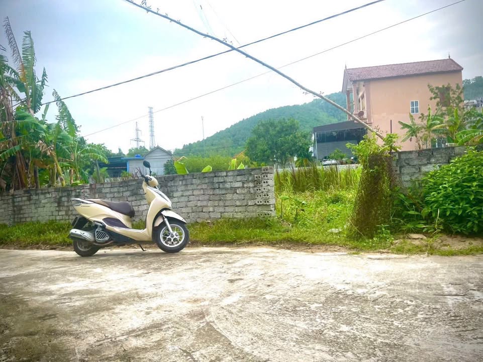 Đất Nền Tiền Phong, Hoàng Mai 264m² - Giá 7xx Triệu, Gần Chợ & Trường Học