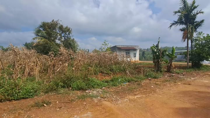 Đất Nền Ea Drông, Buôn Hồ - Sổ Hồng Sẵn Sàng, Giá Đầu Tư 750 Triệu