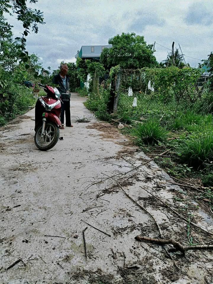 Đất nền Hành Thuận, Nghĩa Hành 202m² - Xây dựng tự do, làm nhà vườn!