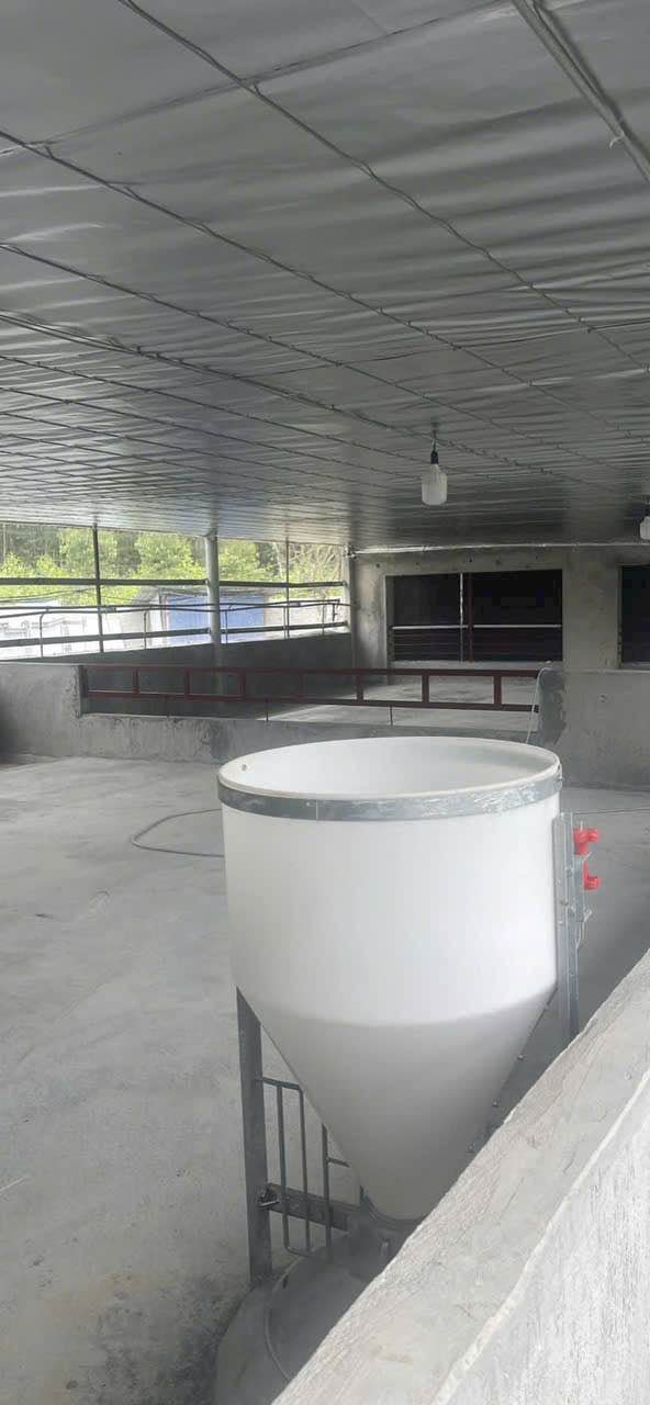 Bán Gấp Trang Trại 2000m² Hợp Tiến, Phổ Yên - Giá Tốt 1.86 Tỷ