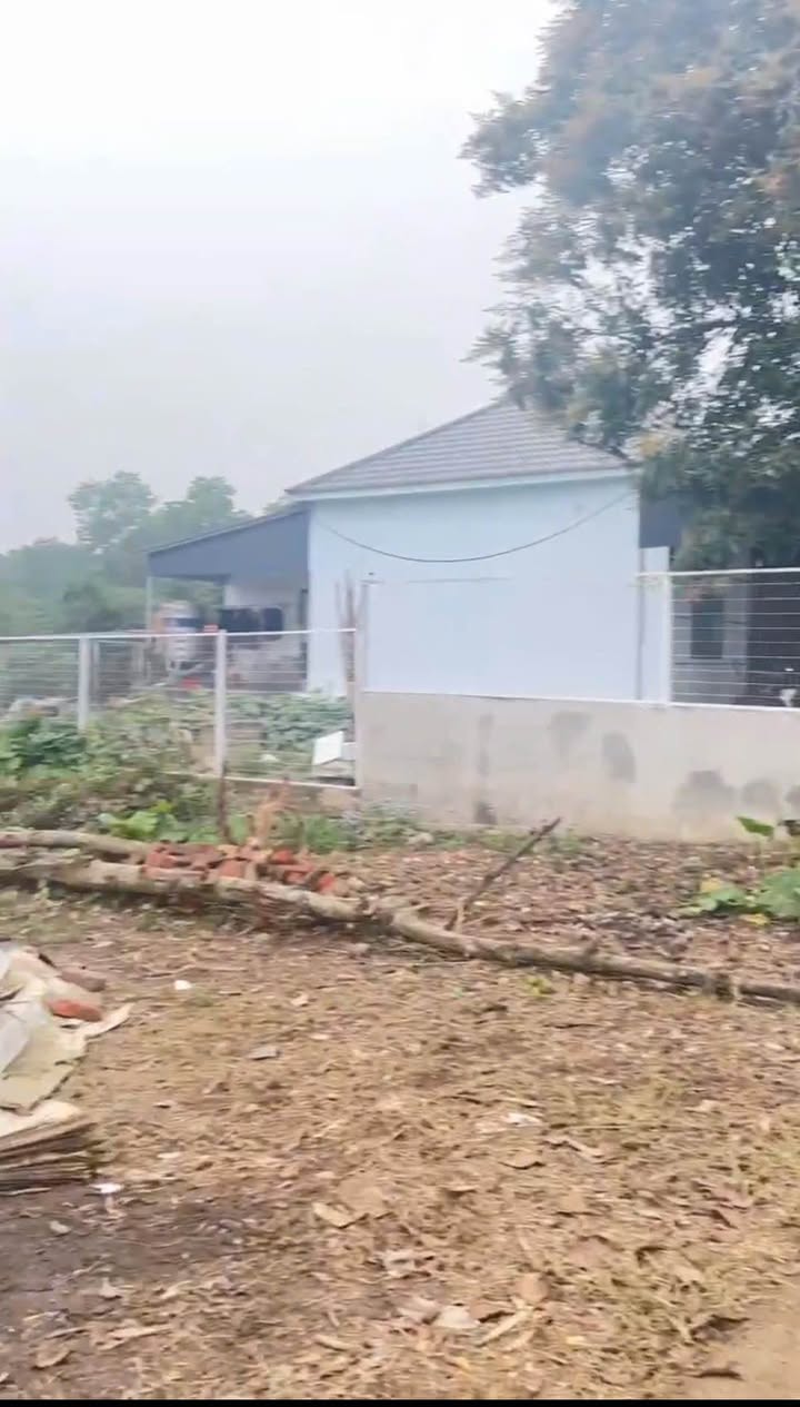 Đất nền Quán Triều 200m² - Tiềm năng tăng giá vượt trội!