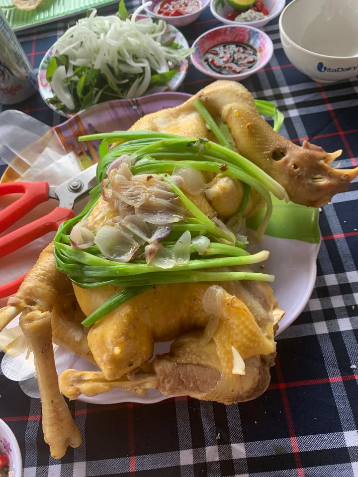 Nhà 2 Tầng 100m² Hướng Tây Nam, Ngang 6.8m, Giá 1.75 Tỷ Tại Trường Xuân, Tam Kỳ